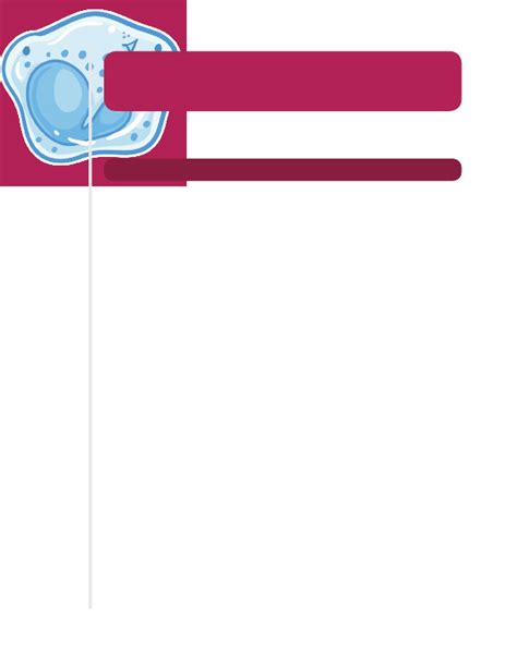 Image result for Complement System Immunity