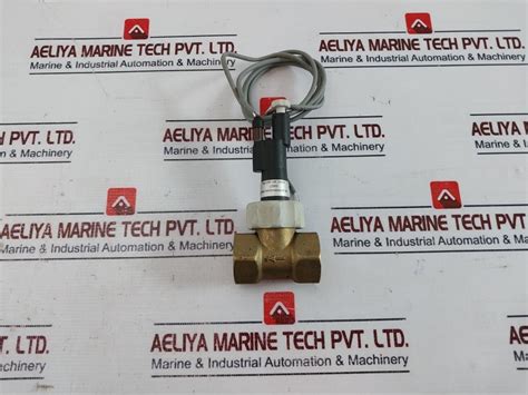 Henke Sass Wolf Dw-lm Dn10 Flow Switch Brass T Material – Aeliya Marine ...
