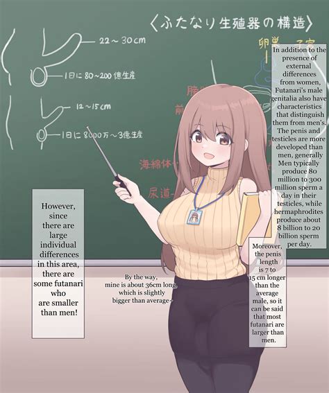 A Presentation on Futanari Anatomy (Minishell) : r/Futadomworld