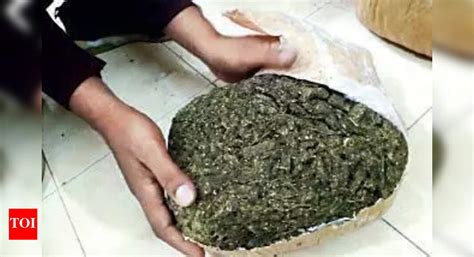 Special crime branch teams seize narcotics, cash worth Rs 8L, rescue ...