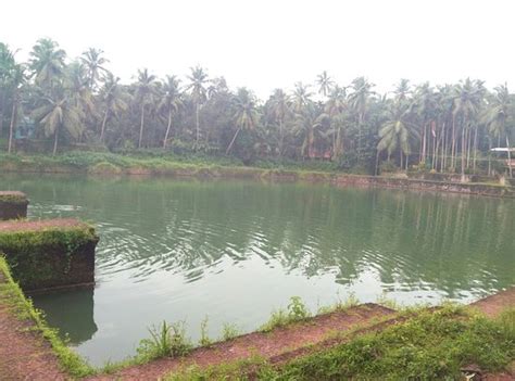 Vadakara Tourism (2024): All You Need to Know Before You Go