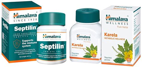 Buy Himalaya Wellness Pure Herbs Shigru Bone & Joint Wellness - 60 ...