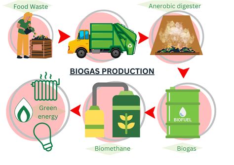 Improving environmental impact using biofuels