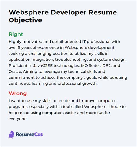 Image result for WebSphere Developer