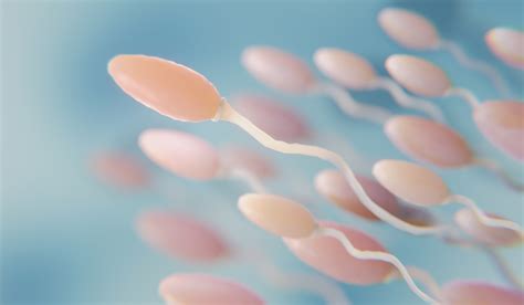 What Happens To Sperm After Vasectomy? | MSI Vasectomy