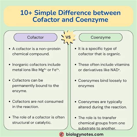 What is Cofactors and Coenzymes: Types, Structure, Functions and ...