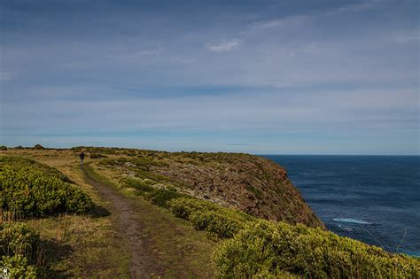 Seaside 的图像结果