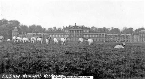 Searching Picture Sheffield