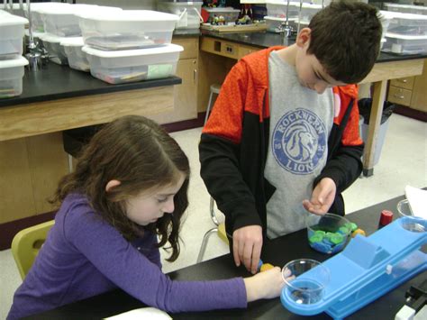 Image result for Grade 3 Science Class