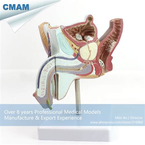 Image result for Sysstem Science