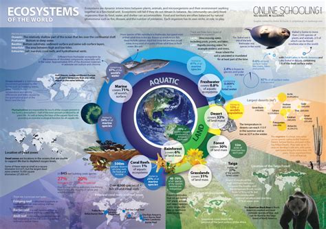Ecosystem Of The Earth