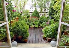 piante da terrazzo perenni piante perenni soluzione di casa con foto terrazzo con piante da terrazzo perenni piante perenni soluzione di casa con foto terrazzo con