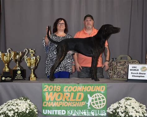 Coonhound World Championship Historical Winners List | United Kennel ...