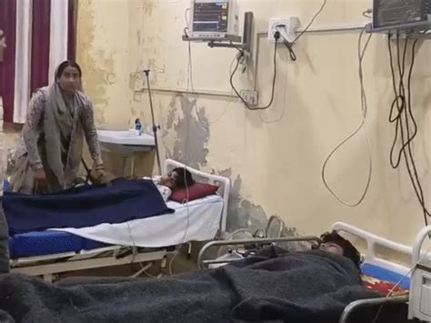 Nagda Bees Attack: 3 Children In ICU After Fair Incident