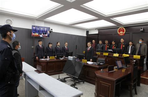 集安市第一起刑事附带民事公益诉讼案件已审结吉林省集安市人民检察院