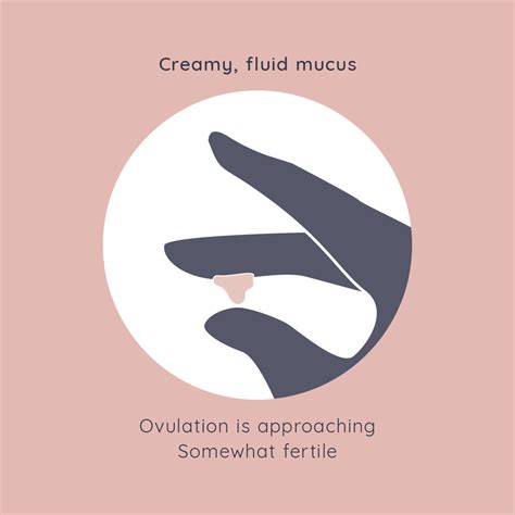 Pictures Of Mucus Stages Tenacious Mucus Hi Res Stock Photography And