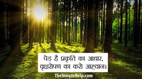 50+ सर्वश्रेष्ठ पेड़ बचाओ पर नारे (स्लोगन) - Slogans on Save Trees in Hindi