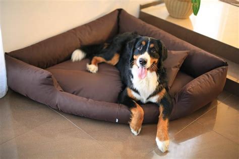 Slatters Be Royal Store Reversible Dual Ultra Soft Velvet Brown Luxury ...