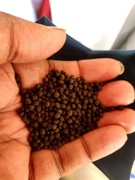 AQUARIUM SOIL – LM Pet Shop