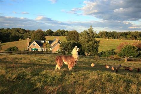 Middleburg Tourism (2024): All You Need to Know Before You Go