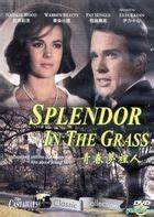 YESASIA: Splendor In The Grass (VCD) (Hong Kong Version) VCD - Natalie ...