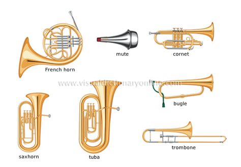 Image result for Different Types of Horns Instruments