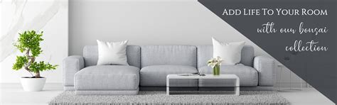 Online Live Indoor Plants & Planters For Decor, Green Gifts, Gardening ...