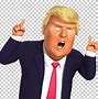 Image result for Trump Tin Foil Hat