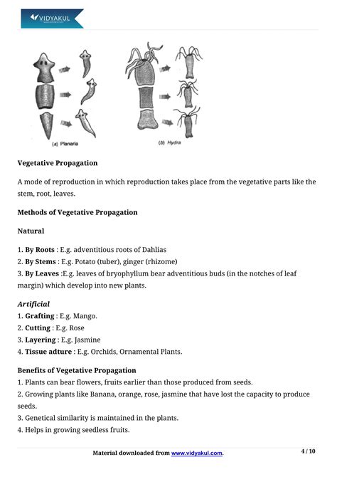 Class 10 Chapter How Do Organisms Reproduce with Notes 的图像结果