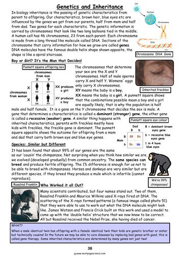 Image result for Genetic Inheritance Free Science Lessons