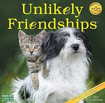 Buy Unlikely Friendships Wall Calendar 2017 Book Online at Low Prices ...