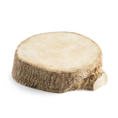 100% Chef Tree Trunk Porcelain Presentation Plate, 23x7 cm Price