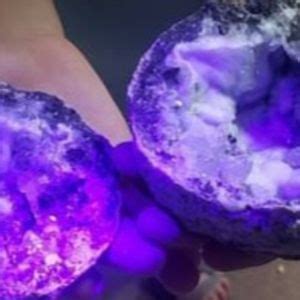 21st Annual Gems and Mineral Show, Bays Mountain Park & Planetarium ...