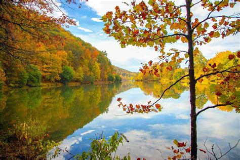 Steele Creek Park Lake | Tennessee Spot - PIXEO