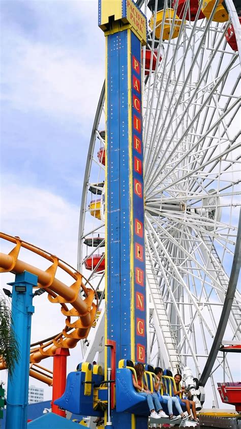 Image result for Free Source Video Clips