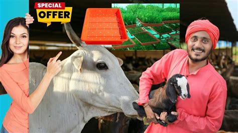 RealTrust Hydroponic Trays – resetagri