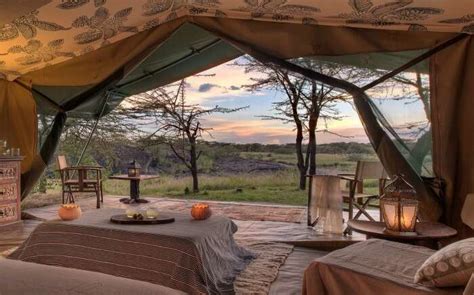 Best Safari In Kenya: Ultimate Guide To A Vacation In The Wild