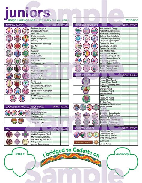 Girl Scout Uniform Junior at Ramona Zielinski blog