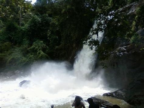 Kenichira Photos - Featured Images of Kenichira, Wayanad District ...