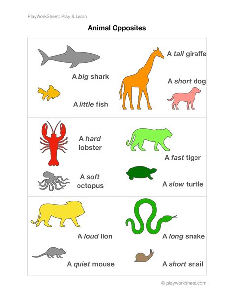 Opposite Words from Comparing Animals | Free Printables for Kids