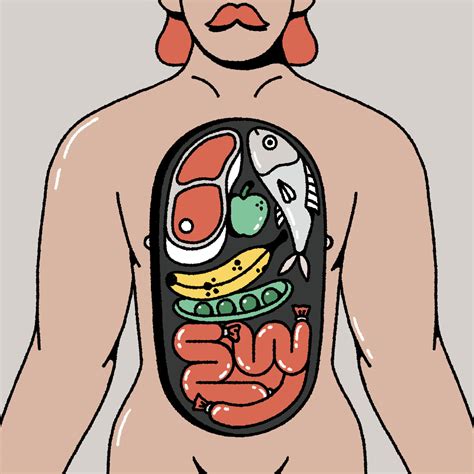 Image result for Evolution Human Body