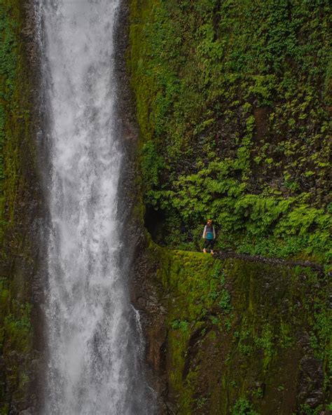 The Most Incredible Waterfall: A Guide to Tunnel Falls Oregon - Lita of ...