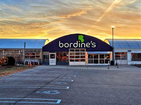 Bordines In Rochester Hills