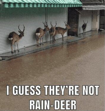 30 Funny Rainy Day Memes To Get You Through The Grey Into Summer