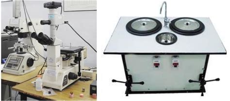 Government Engineering College Valsad