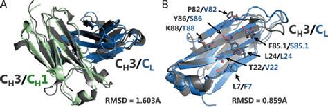 PyMOL Structure Alignment 的图像结果
