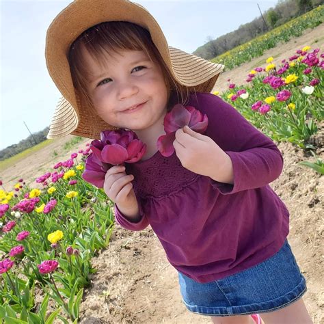 Spring Box Water Development 的图像结果