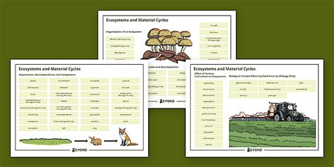 Edexcel Biology Ecosystems and Material Cycles Word Mat