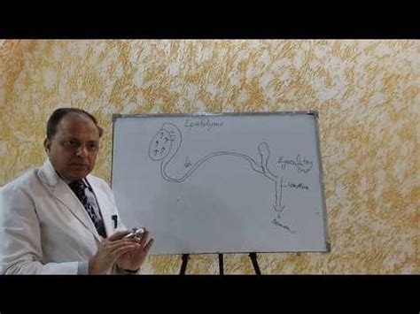 Best IVF & Urology Centre in Delhi | Urogyn Clinic