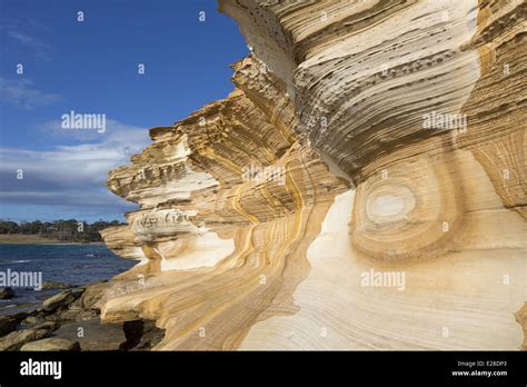 Image result for Sample Website Create in HTML